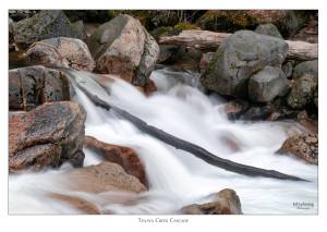 Tenaya Creek