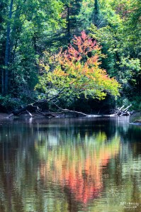 "Fade to Fall" - York River