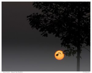 "End of the Day" - Stouffville Sunset