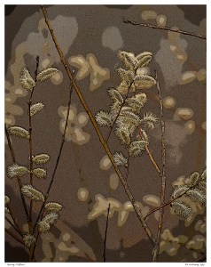 “Spring Catkins”