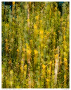 “A Shift in the Winds” - Stouffville Reservoir