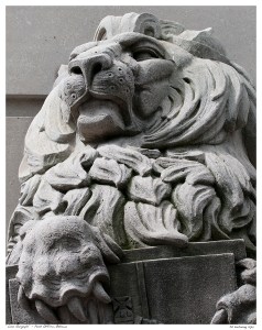 “Lion Gargoyle” - Post Office, Ottawa