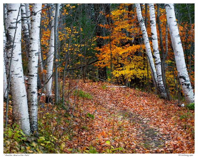 “Another Bend in the Path”