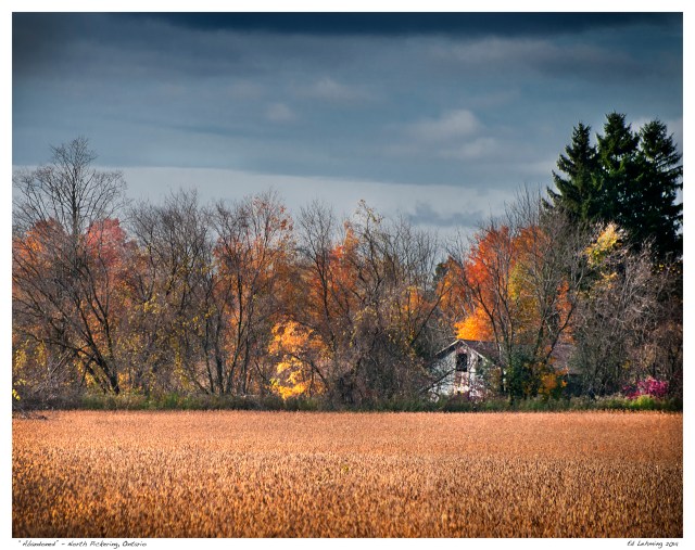 “Abandoned” - North Pickering, Ontario