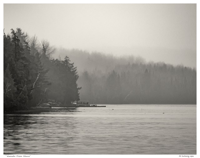"November Fraser Shores"