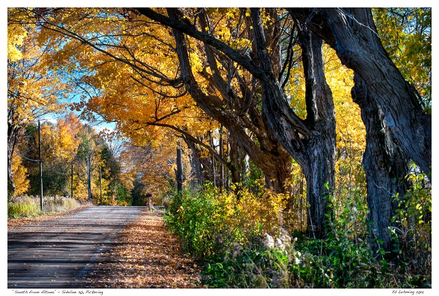 “South from Altona” - Sideline 30, Pickering