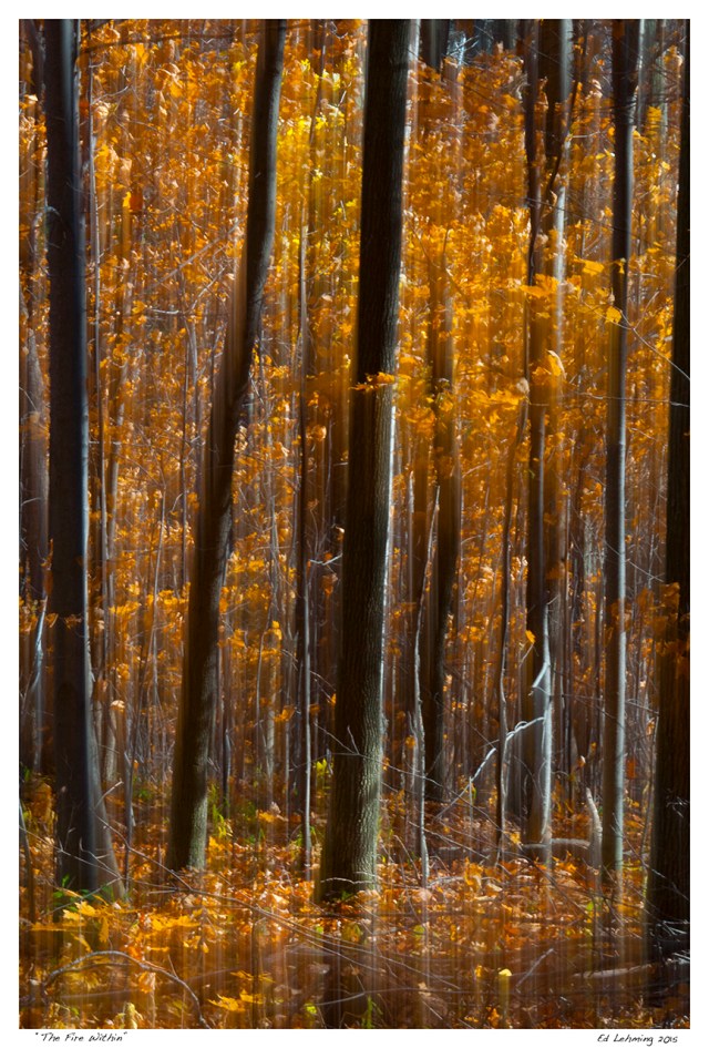 “The Fire Within”