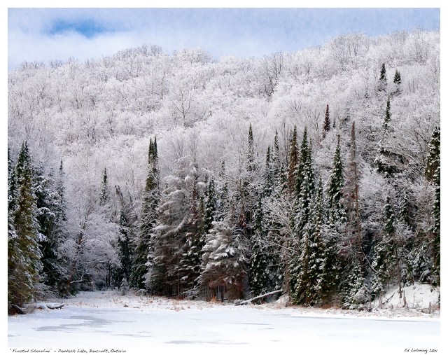 “Frosted Shoreline” - Paudash Lake, Bancroft, Ontario