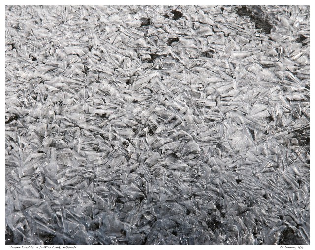 “Frozen Fractals” - Duffins Creek, Whitevale