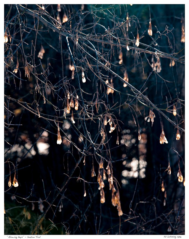 “Glowing Keys” - Seaton Trail
