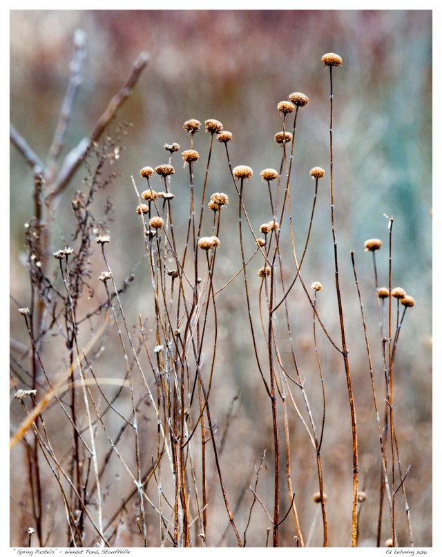 “Spring Pastels” - Wendat Pond, Stouffville