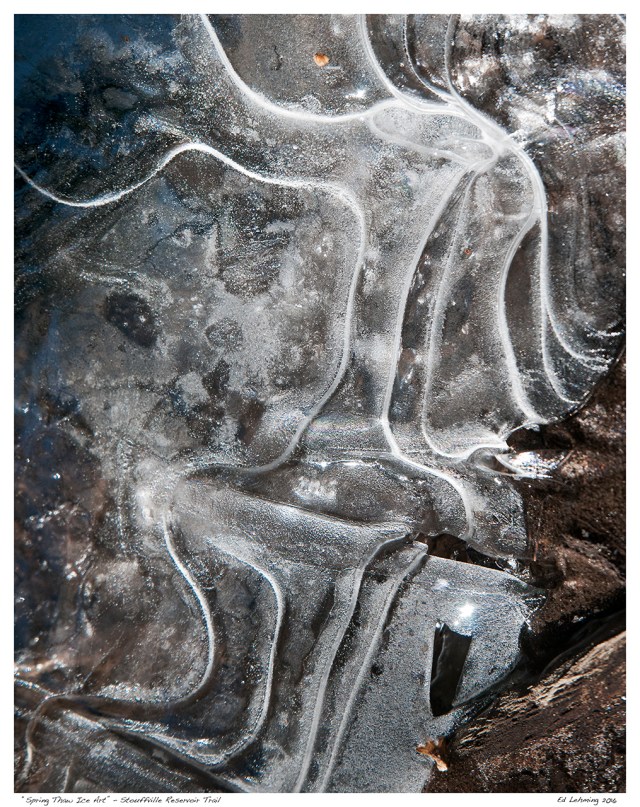 “Spring Thaw Ice Art” - Stouffville Reservoir Trail