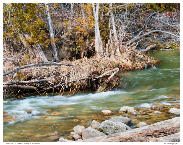 “Undercut” - Duffins Creek at Whitevale