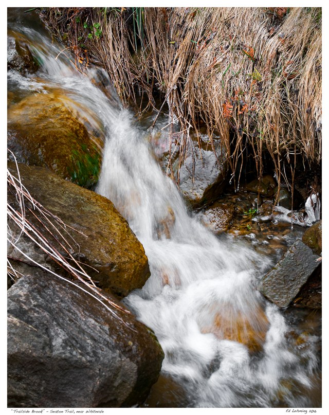 “Trailside Brook” - Seaton Trail, near Whitevale