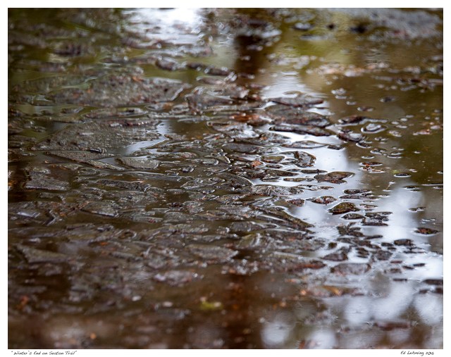 “Winter’s End on Seaton Trail”