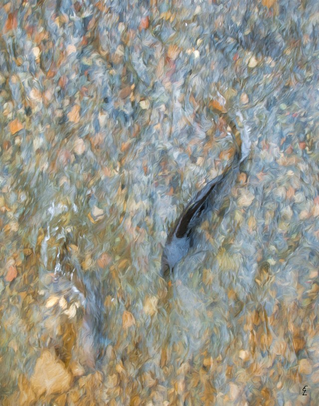 "Against the Odds" - Duffins Creek