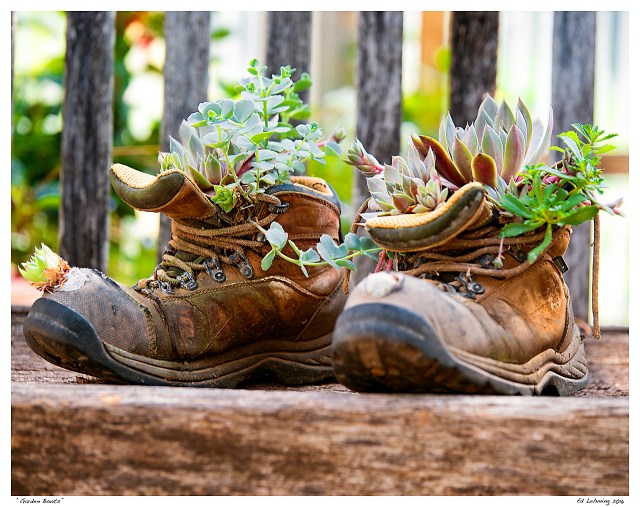 “Garden Boots”