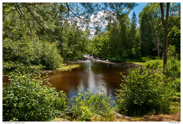“The Hollow” - Papineau Creek