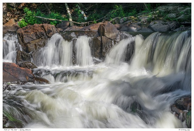Falls at “The Gut” - Apsley, Ontario