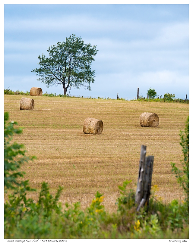 “North Hastings Farm Field” - Fort Stewart, Ontario