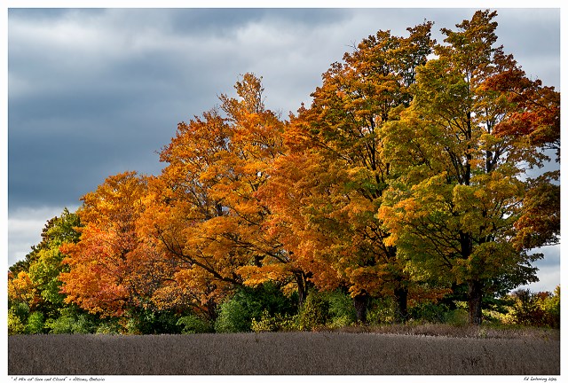 “A Mix of Sun and Cloud” - Altona, Ontario