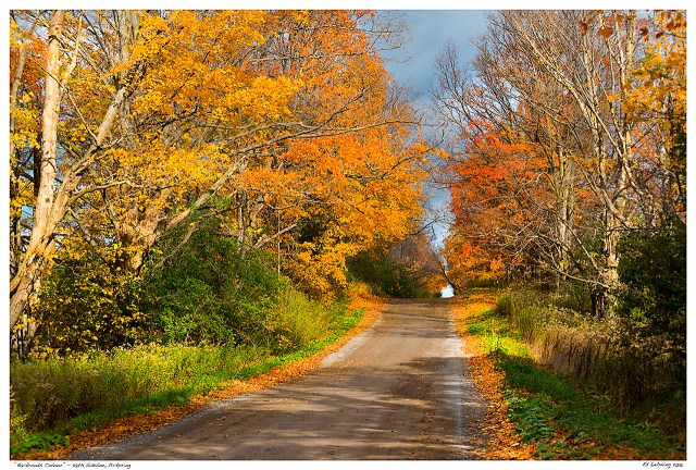 “Backroads Colour” - 28th Sideline, Pickering