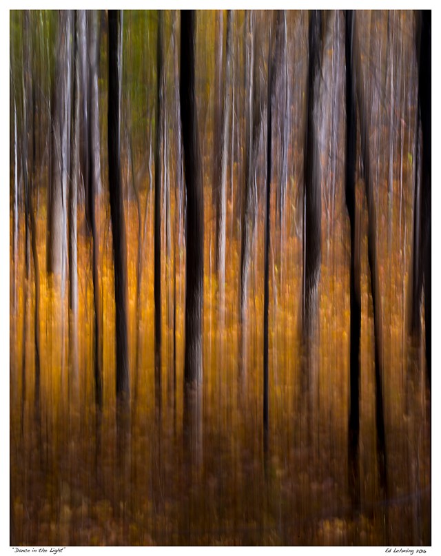 “Dance in the Light”