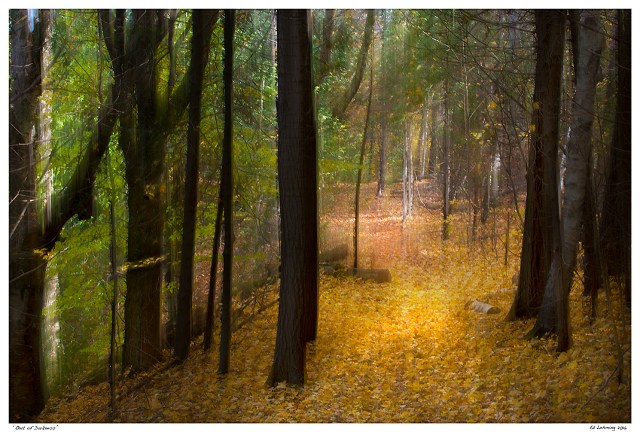 “Out of Darkness”