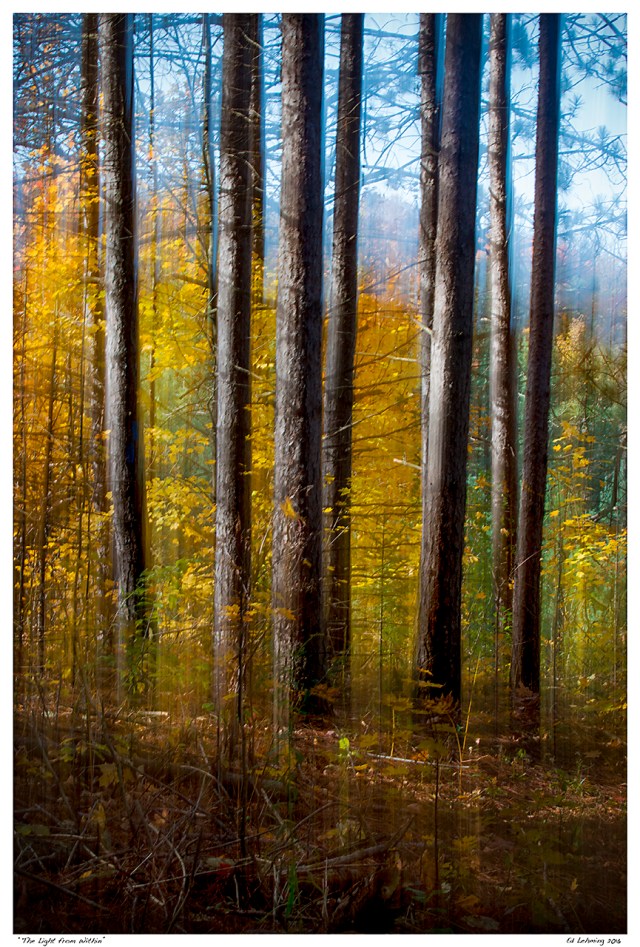 “The Light from Within”