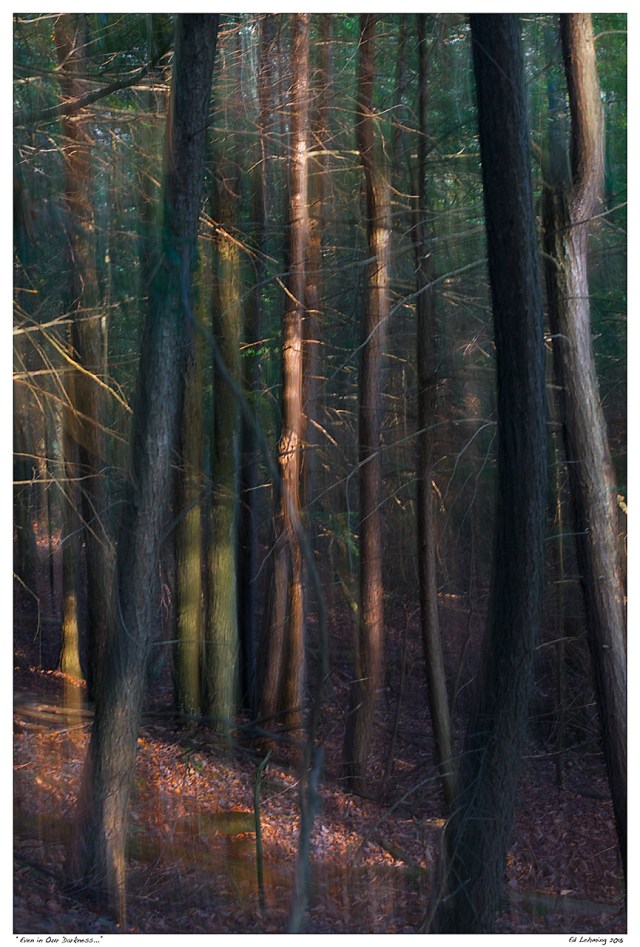 “Even in Our Darkness...”