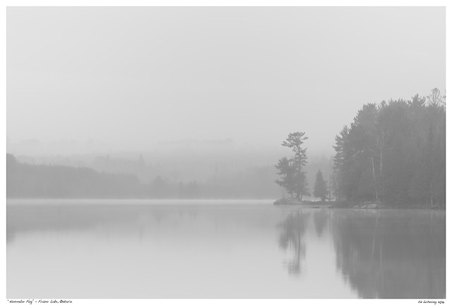 “November Fog” - Fraser Lake, Ontario