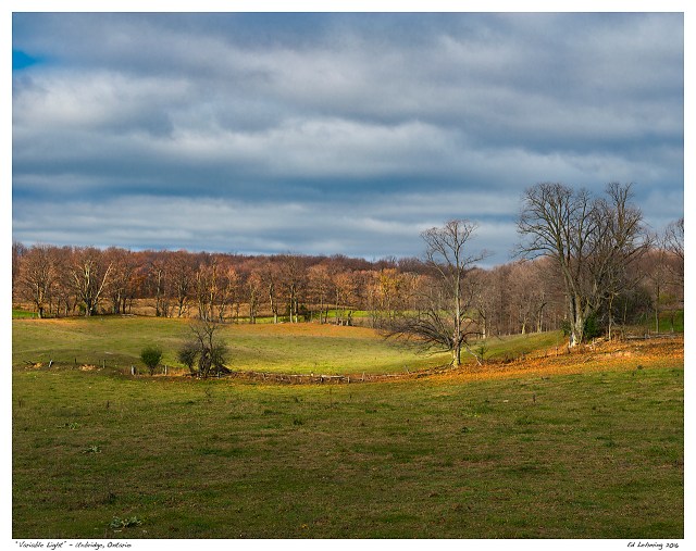 “Variable Light” - Uxbridge, Ontario