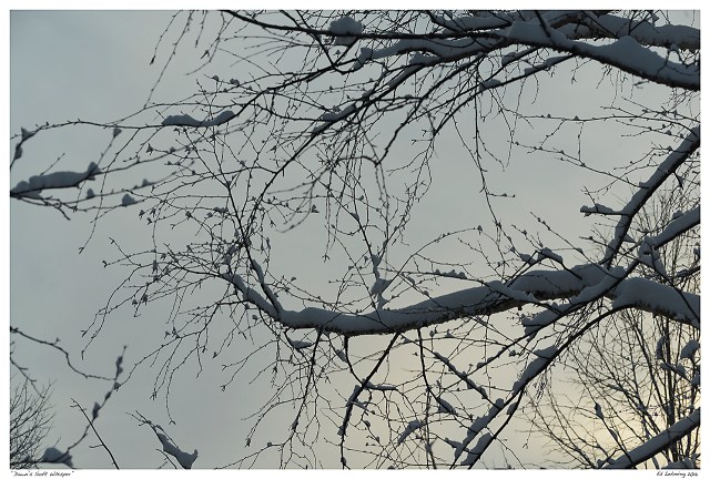 “Dawn’s Soft Whisper”