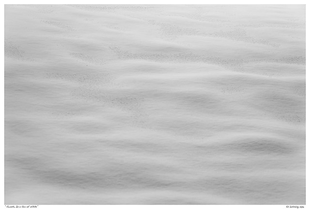 “Awash, In a Sea of White”