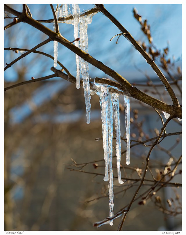 “February Thaw”