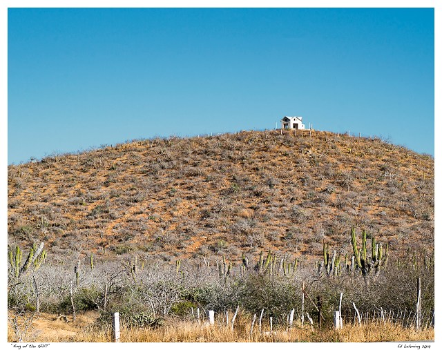 “King of the Hill?”