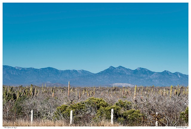 “The Spine of Baja”