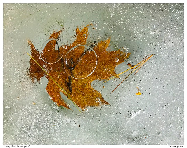 “Spring Thaw, but not quite”