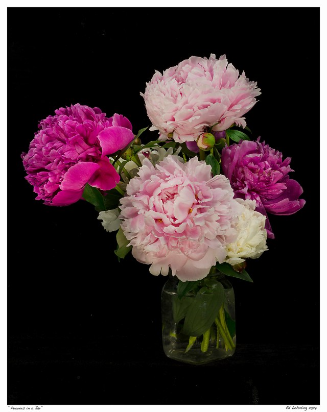 “Peonies in a Jar”