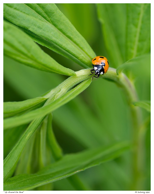 “Up Around the Bend”