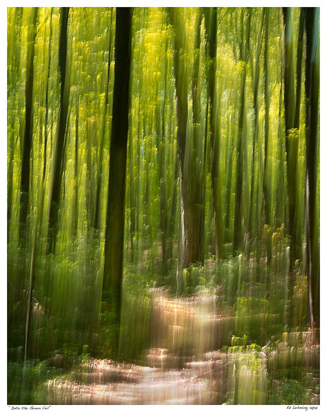 “Into the Green Veil”