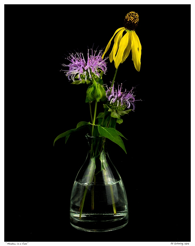 “Meadow in a Vase”