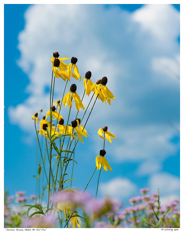 “Summer Breeze, Makes Me Feel Fine”