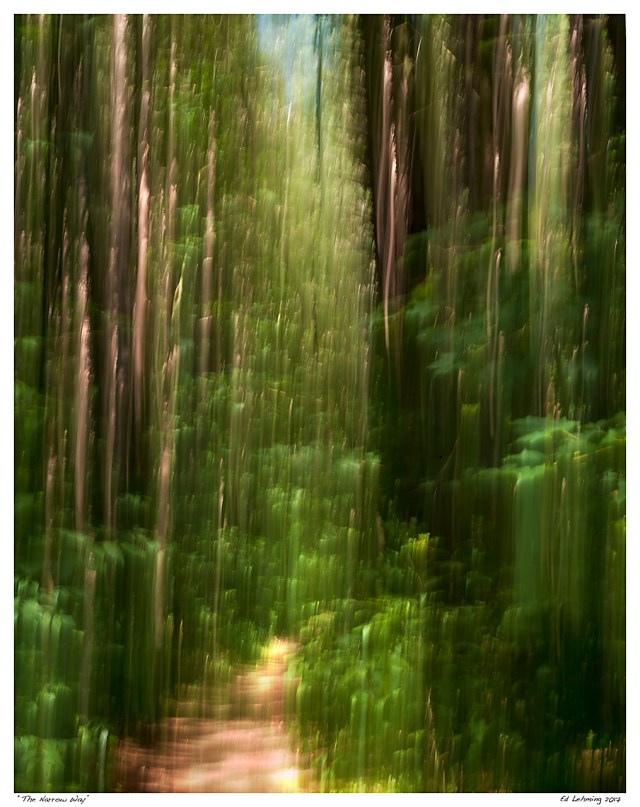 “The Narrow Way”