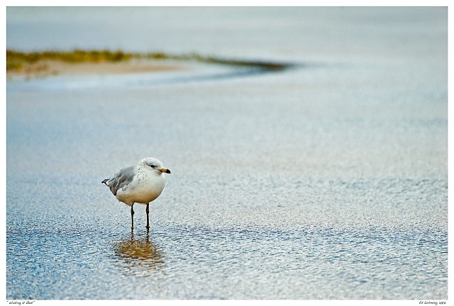 “Waiting it Out”