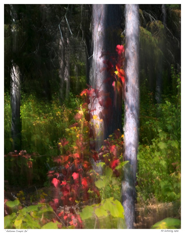 ‘Autumn Creeps In”