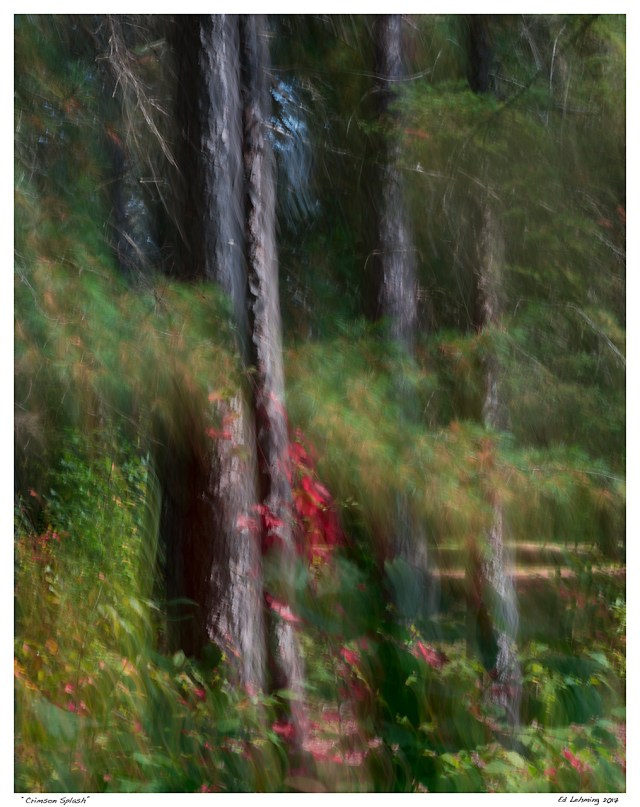 “Crimson Splash”