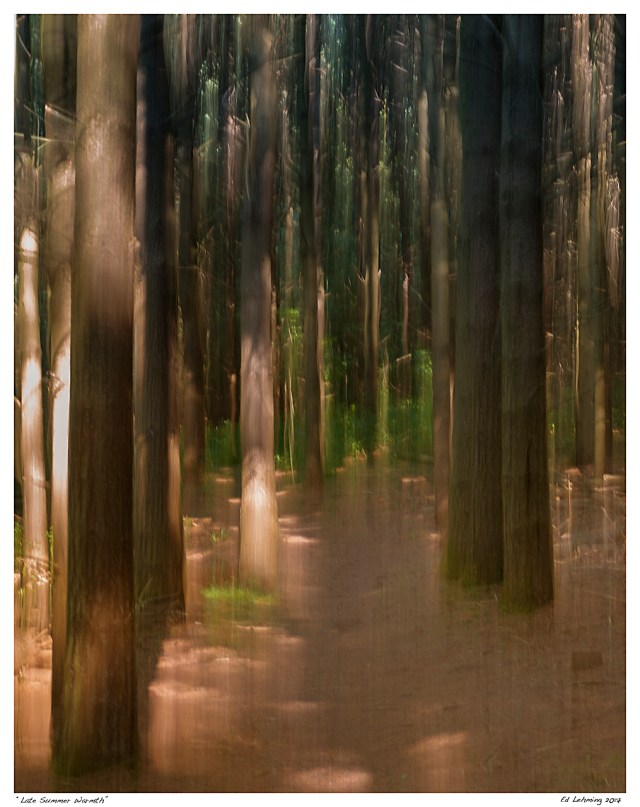 “Late Summer Warmth”