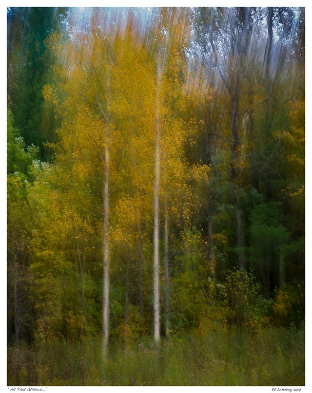 “All That Glitters...”