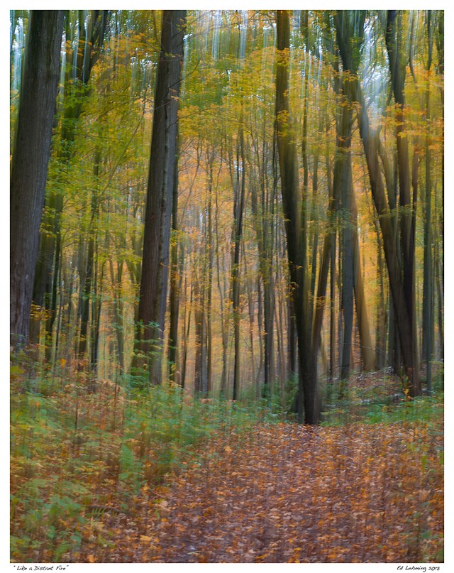 “Like a Distant Fire”